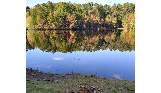 Lakefront Condo/Apartment On Beautiful Segovia Lake!