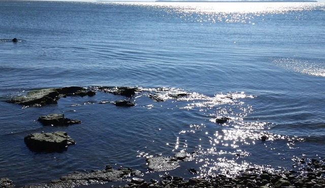 Lakefront Condos C &/or D - sleeps 4 - 8