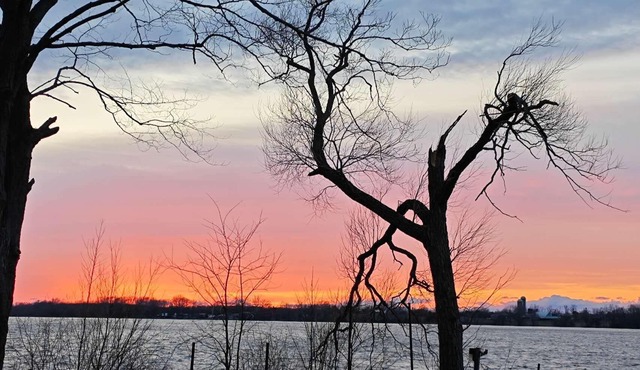 LAKEFRONT COTTAGE #6 -Close to Sandbanks - LAKE CONSECON RESORT