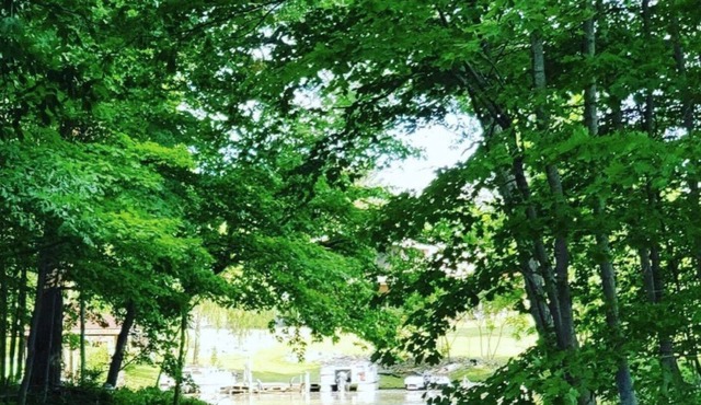 Lakefront Cottage in a rare serene setting for nature lovers on all sports lake.