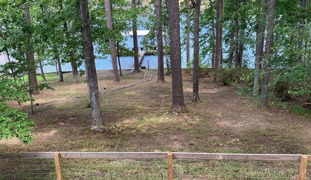 Lakefront Cottage on Lake Hamilton with private dock- The Perch