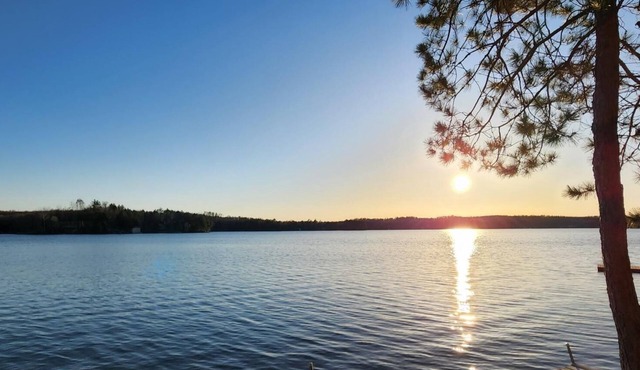 Lakefront Cottage on Beautiful Wheeler Lake in Lakewood FAMILY FRIENDLY!