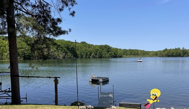 Lakefront cottage on Diamond Lake
