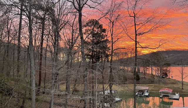 Lakefront Cottage with Private Dock on Norris Lake