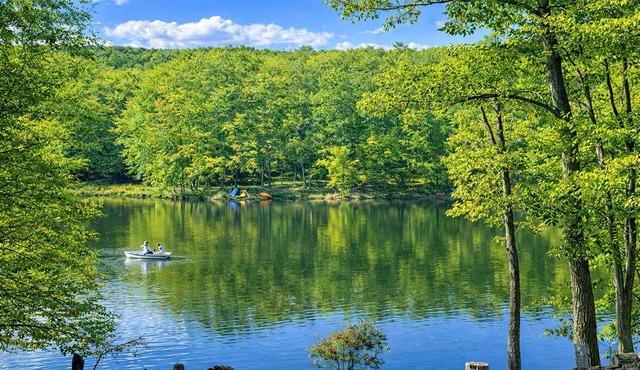 Lakefront has a hot tub, sauna, fireplace, ping-pong table, pool, and kayaks.