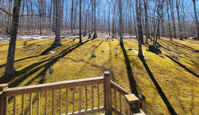 Lakefront Home, 2 Balconies, Floating Dock