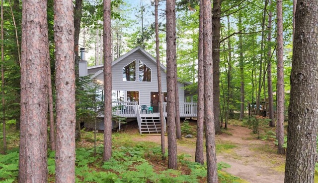 Lakefront Home with sandy beach, Sleeps 8, Dogs OK