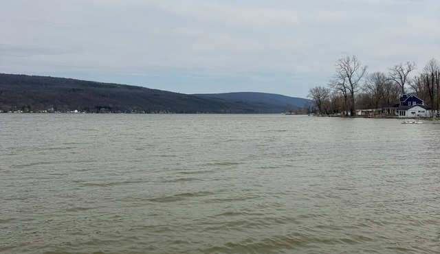 Lakefront Honeoye Cottage