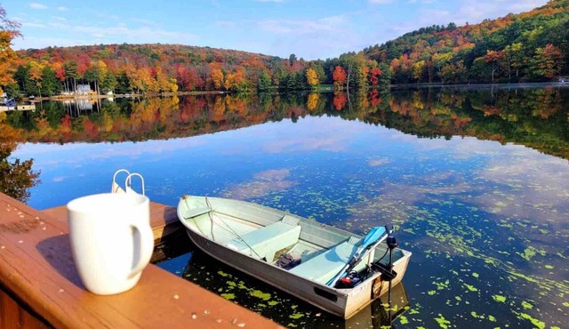 !LAKEFRONT house with baby goats!