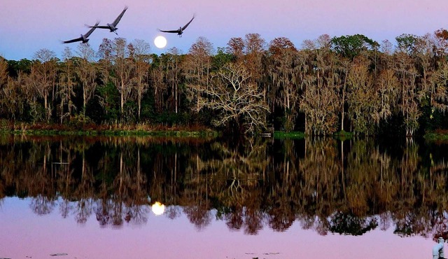 Lakefront house with pool and playroom