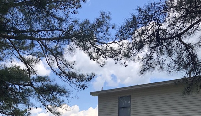 Lakefront Living at Shelby Shores