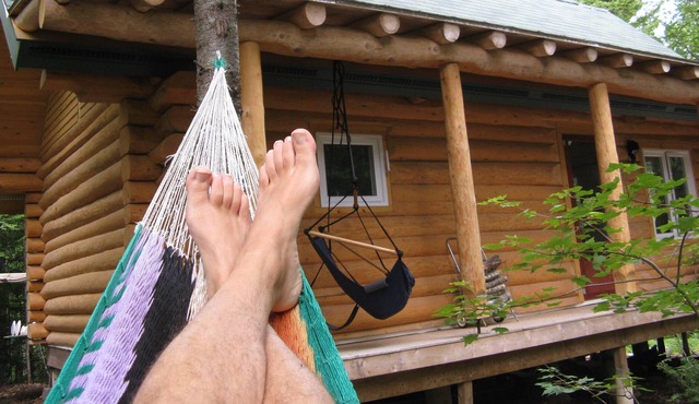 Lakefront log cabin in the woods