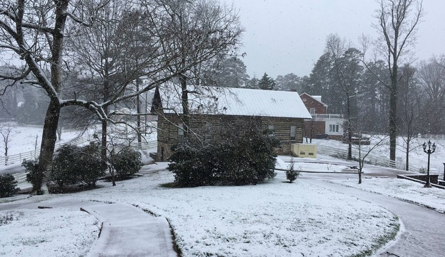 Lakefront Log Cabin on Beautiful Kerr Lake in downtown Clarksville VA