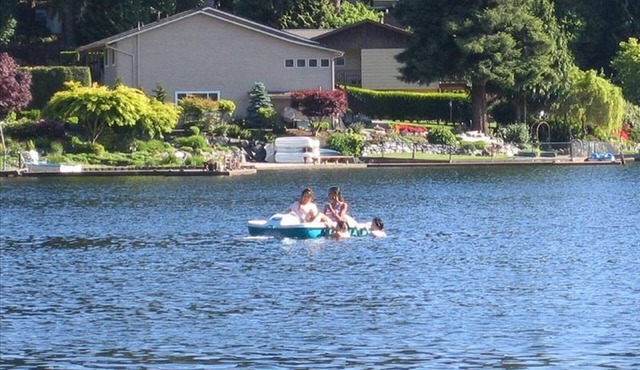 Lakefront - Lower Floor - No animal - Allergies