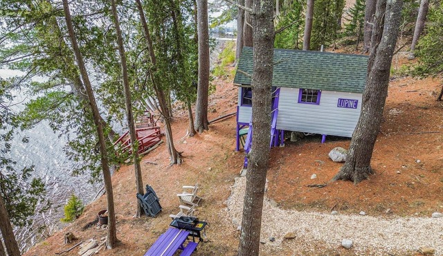 Lakefront Lupine Tiny Cabin @ Getogether Stays