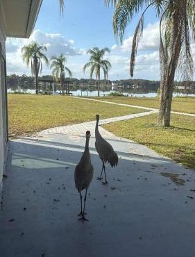 Lakefront Luxury w Private Dock Sunrises