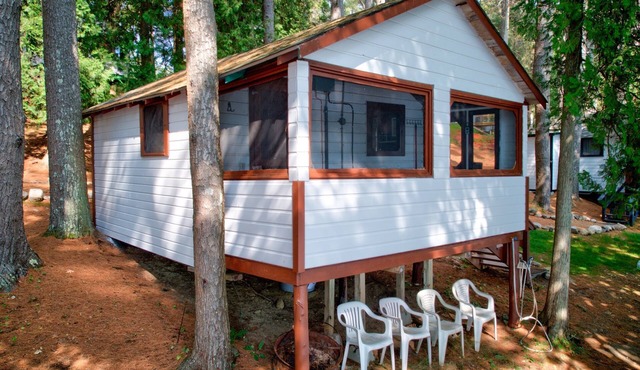 Lakefront Moose Tiny Cabin @ Getogether Stays