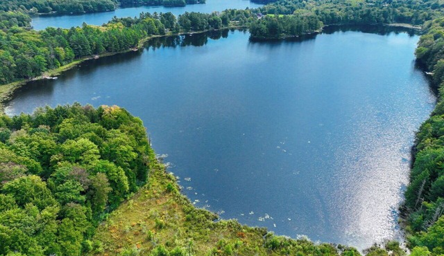 Lakefront Muskoka Cottage | Fire Pit, BBQ & Water Toys