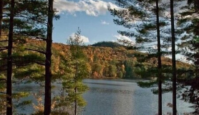 Lakefront North Creek Cabin w/Sauna, Dock & Kayakn