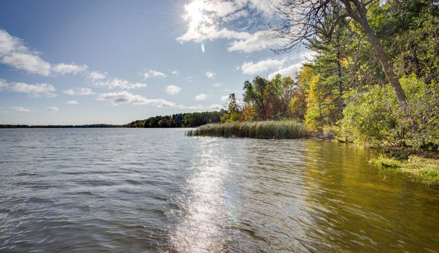 Lakefront Park Rapids Cabin w/Grill & Fire Pit!