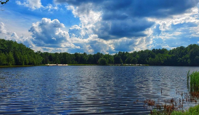 Lakefront, PETS, Boats, Deck, Turf, Sandbox, Firepit,Games, Poconos, PoolTable