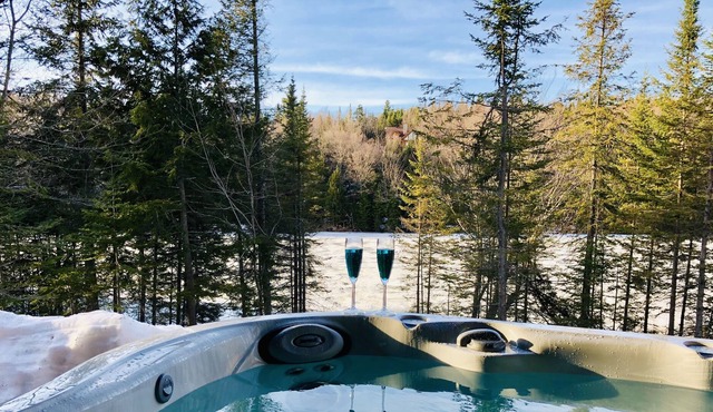 LAKEFRONT (private quay)-SPA-BILLARD-PING PONG-TELEWORKING