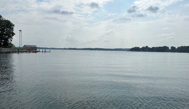 Lakefront Property! Gentle slope to the water, firepit, water skis, paddleboards