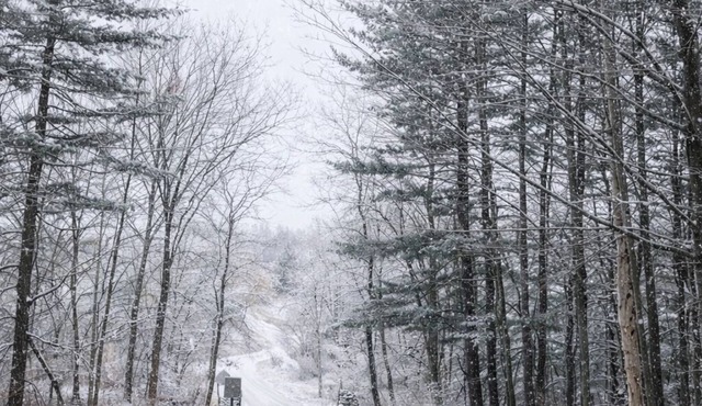 Lakefront Retreat Sleeps 12! Golf & Nature Escape