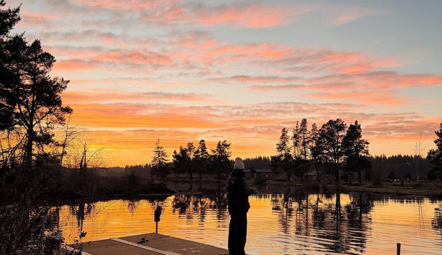 Lakefront Retreat W/private dock, kayaks and fish gear included!