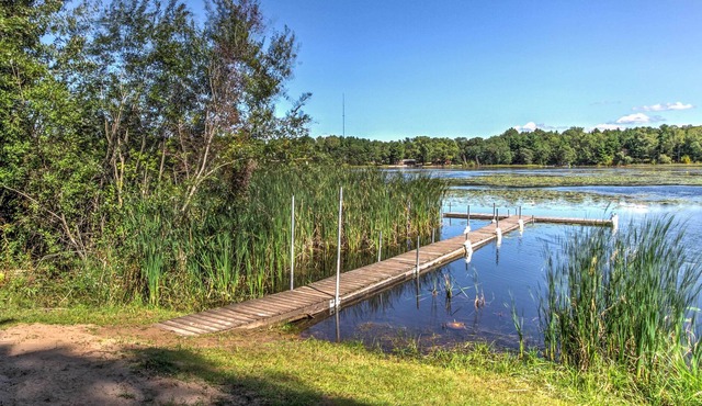 Lakefront Studio Cabin w/ Dock & Fire Pit!