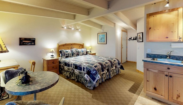 Lakefront studio with bay views, AC, balcony, dock for swimming & kayaking