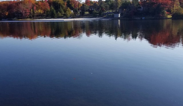 LAKEFRONT,Swim,enjoy&relax,7kayaks,SUP,paddlboat,firepit,PA,cabin,Fun,
