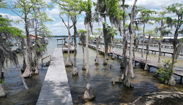 Lakefront with Private Pier at White Lake