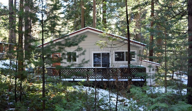 LAKEMONT PINES INVITING CABIN - DOG FRIENDLY -