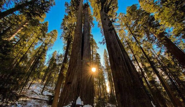 LakeMont, wifi, GENERATOR, King bd, FREE Lake access +A/C