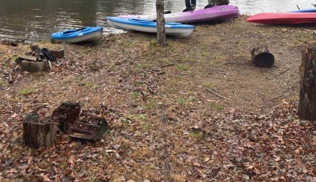 Lakeshore Cottage Lake Lanier | Privacy, Free Wifi, & Free Parking!