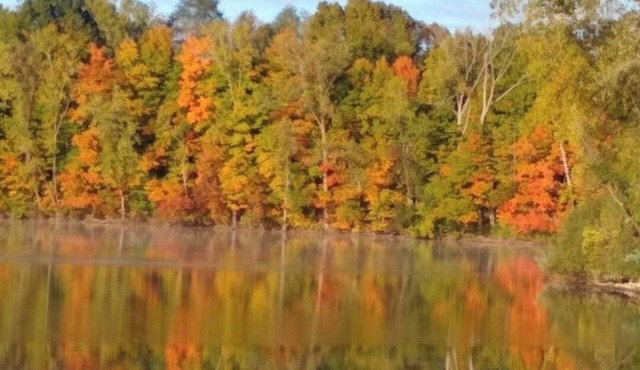 Lakeshore Escape: 3-bedroom, pet friendly home, 10 min from Turnpike