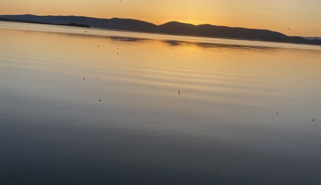Lakeshore Horizons, Big Sky