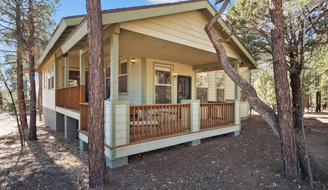 Lakeside Cabin 3-bedroom house Lake of the Woods with WiFi, AC, pet friendly
