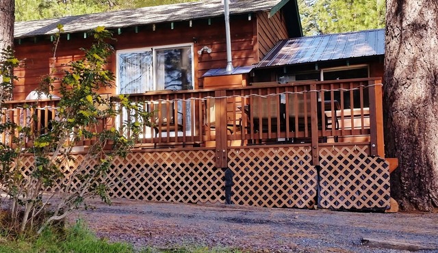 Lakeside Cabin, Cozy Family Pet-Friendly, Beautiful Views, Free Dock & Boat Slip