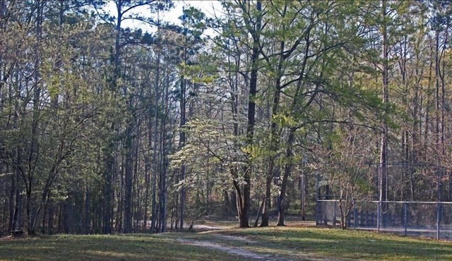 Lakeside Cabin - Great Fishing & Privacy at its Best!