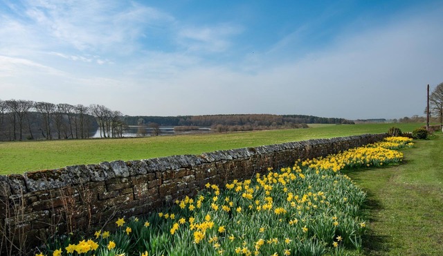 Lakeside Cottage, Alice in Capheaton, Northumberland - sleeping 4 guests in two bedrooms