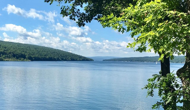 Lakeside cottage on quiet, private road. Walk to Keuka Lake State Park!