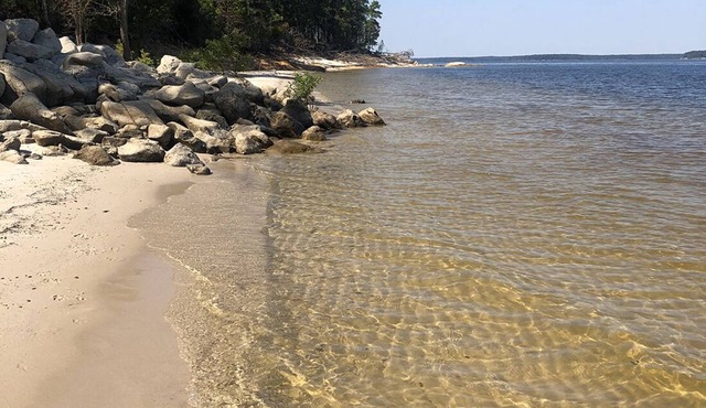 Lakeside cottage, water access + pet friendly