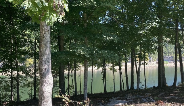 Lakeside Hideaway II - lakefront with hot tub/walk to boat ramp