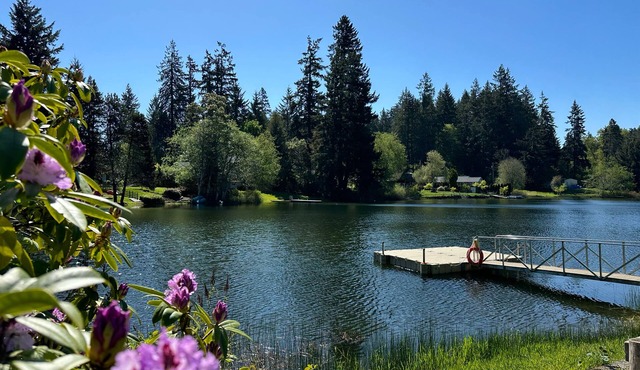 Lakeside home on Horseshoe Lake: kayaks, paddle boards, fire pit, games, fishing