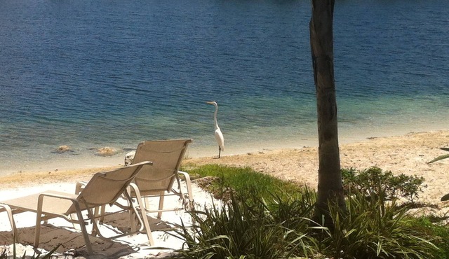 Lakeside Miami, Designed for Superior Comfort, close to everything Kendall