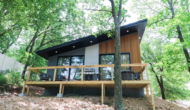 Lakeside Modern Luxury Cabin with Lake View