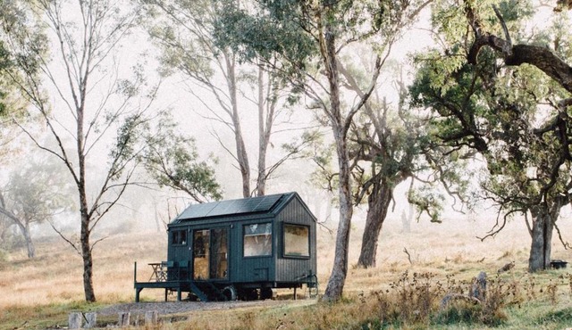 Lakeside Off-Grid Cabin - Pet Friendly - Freja