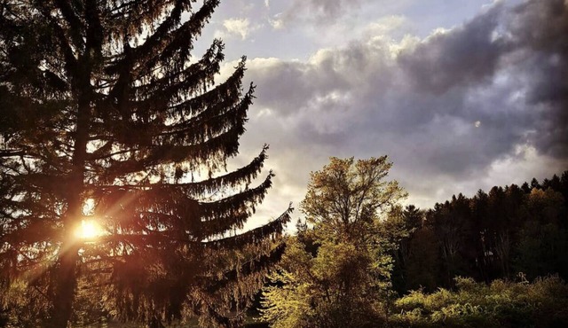 Lakeside Retreat! SPECIAL PRICING! DON'T MISS OUT!